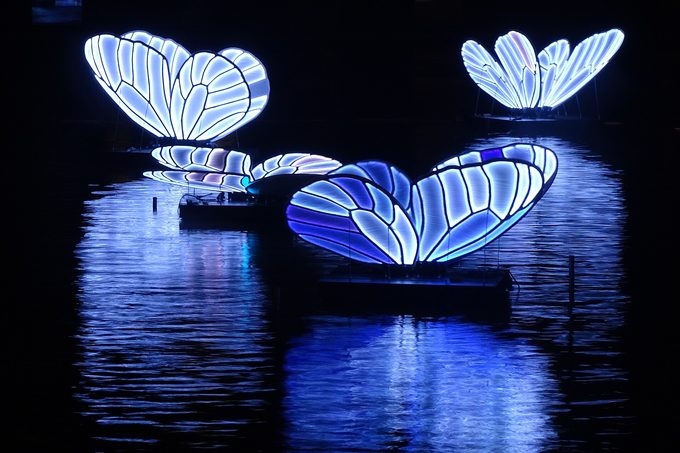 Amsterdam Light Festival in Amsterdam