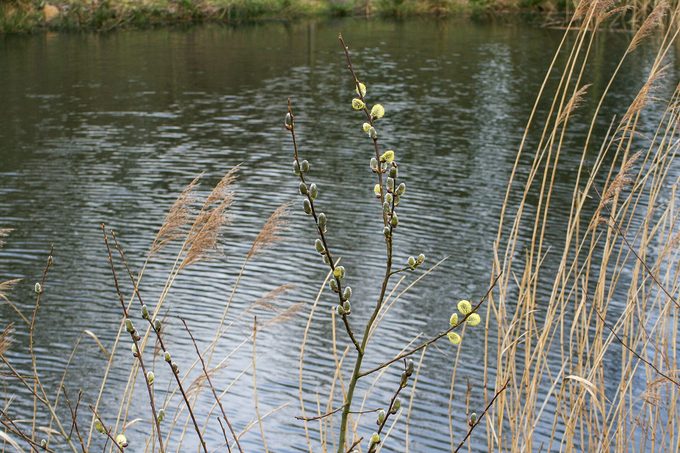 Draaimolen in Tilburg