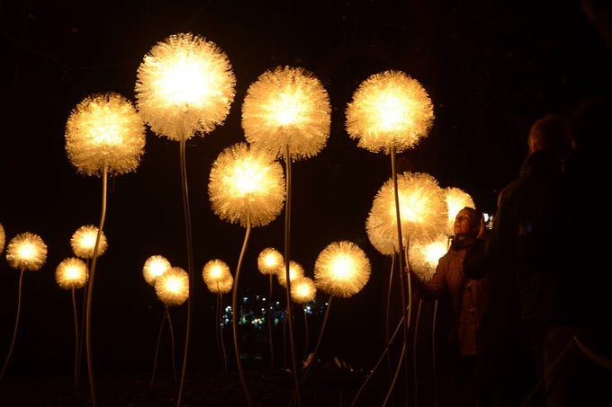 GLOW Eindhoven in Eindhoven