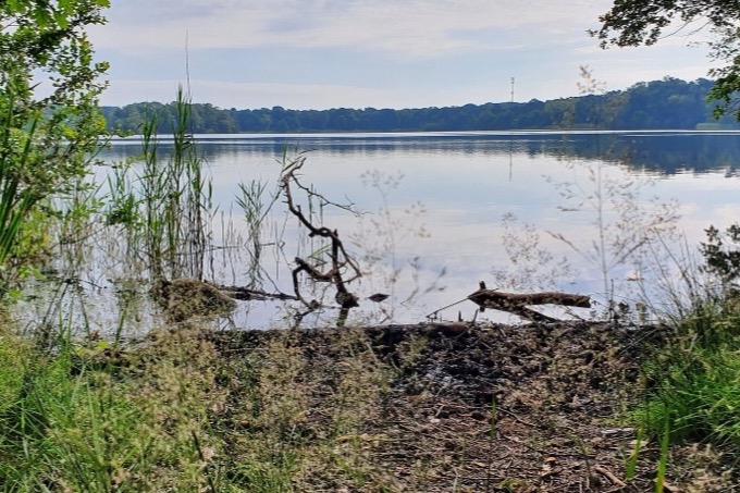 Lakedance in Best
